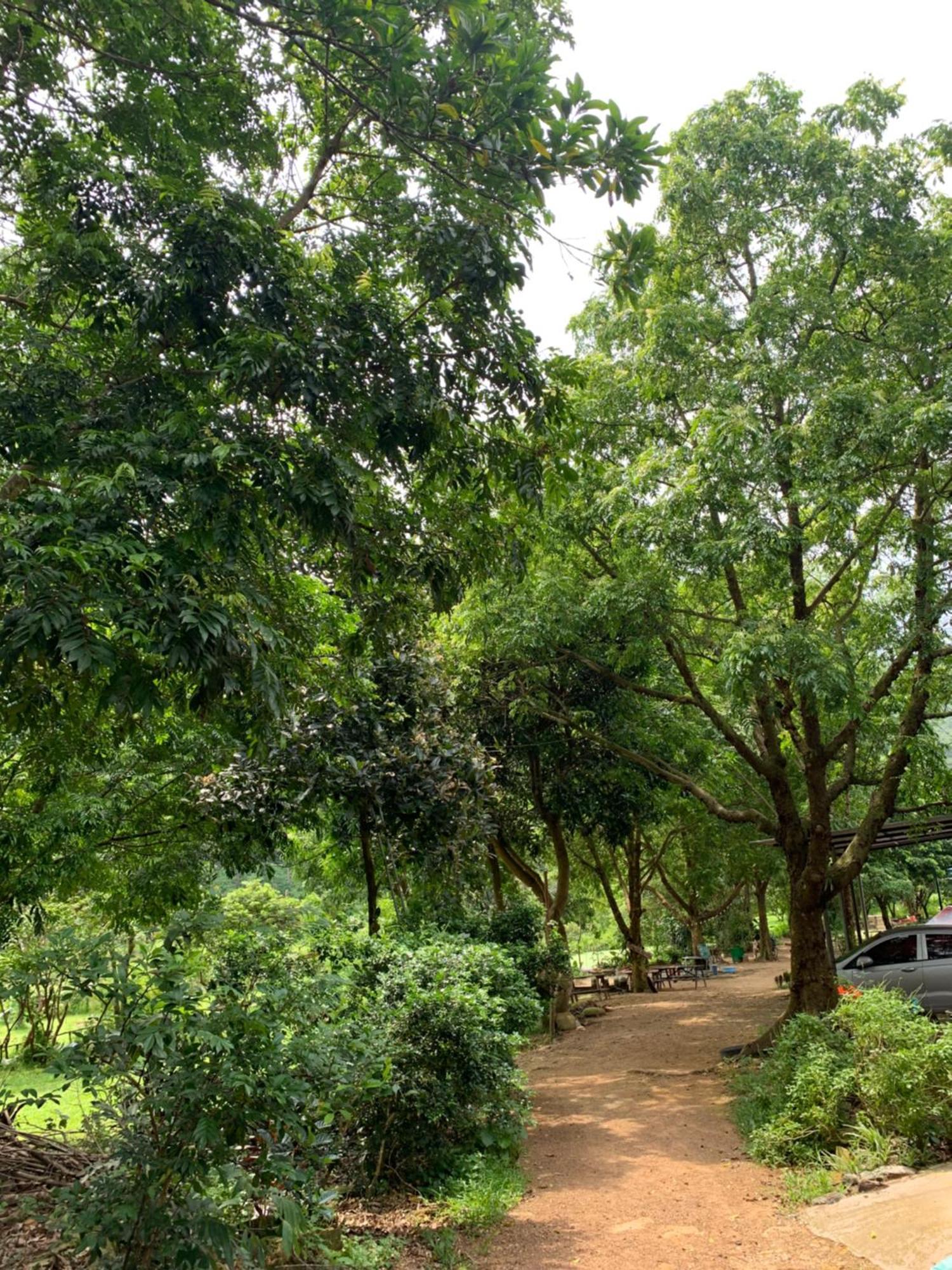 Chu Thien Homestay And Camping Hanoi Eksteriør bilde